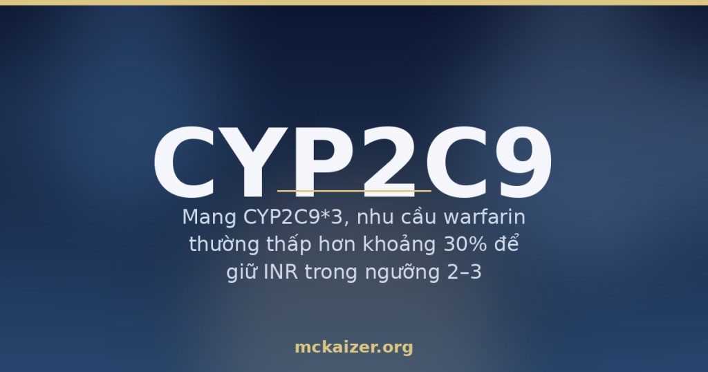 Minh hoạ gen CYP2C9, warfarin, vitamin K từ rau lá xanh cho người Việt