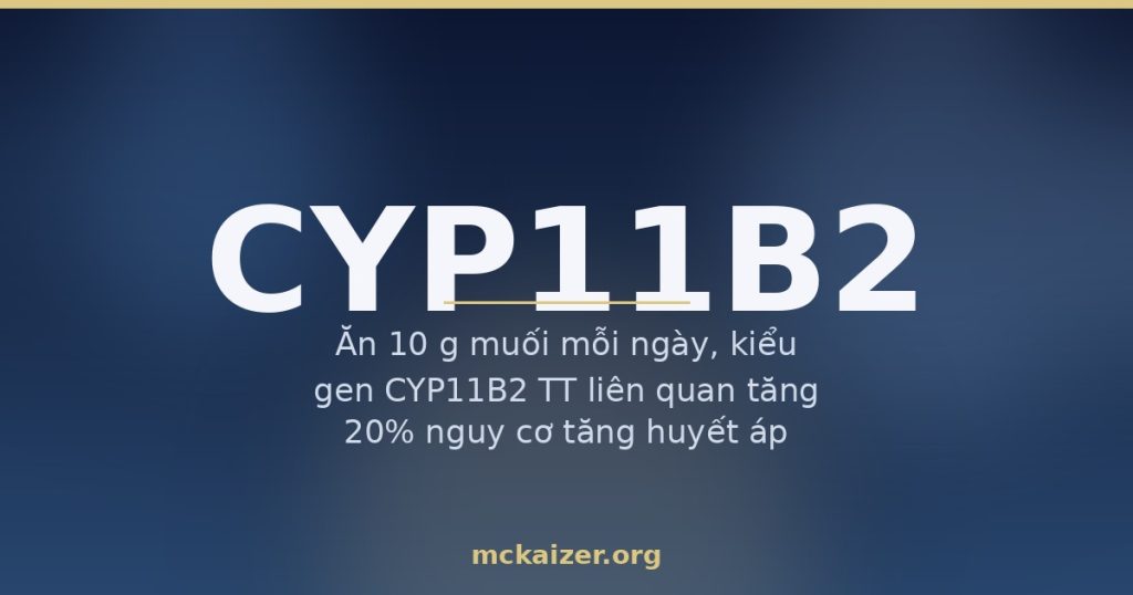 Ảnh bìa bài viết về gen CYP11B2 (aldosterone synthase), lượng muối trong bữa ăn Việt và huyết áp