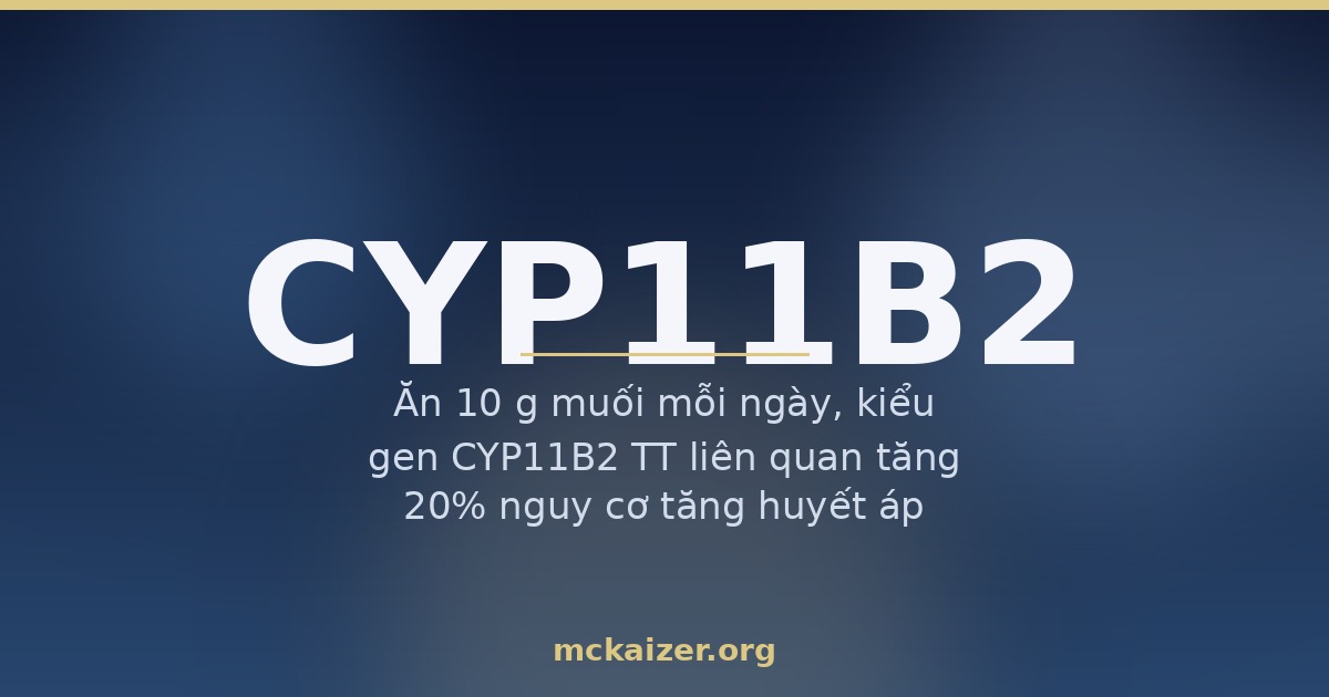 Ảnh bìa bài viết về gen CYP11B2 (aldosterone synthase), lượng muối trong bữa ăn Việt và huyết áp