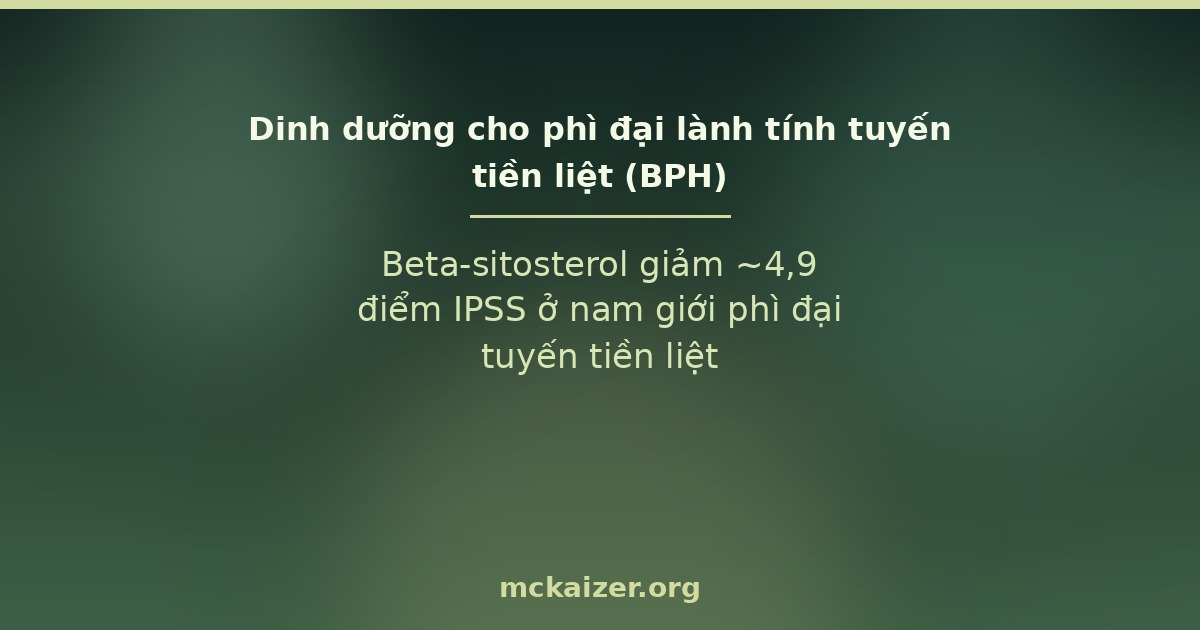 Beta-sitosterol giảm ~4,9 điểm IPSS ở nam giới phì đại tuyến tiền liệt