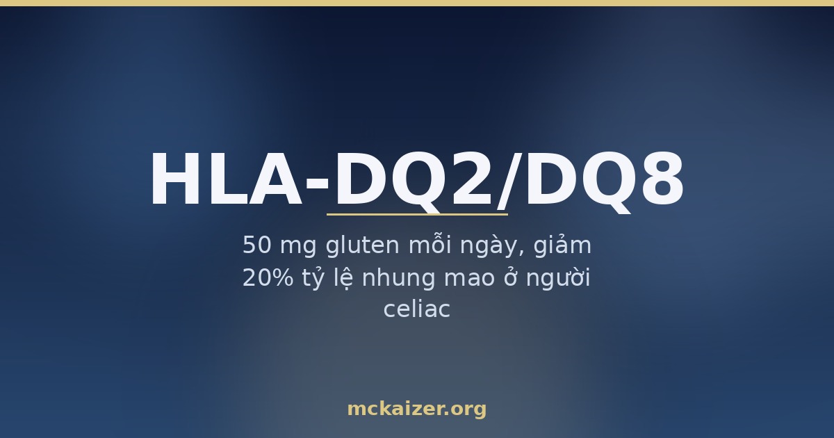 Ảnh bìa bài viết về gen HLA-DQ2/DQ8, gluten trong lúa mì và bệnh celiac ở người Việt