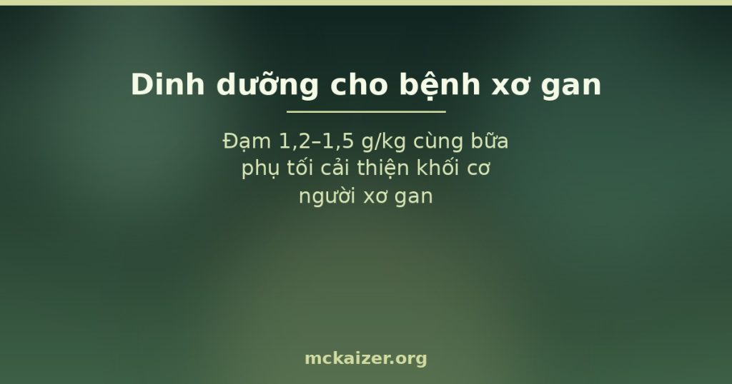 Đạm 1,2–1,5 g/kg cùng bữa phụ tối cải thiện khối cơ người xơ gan