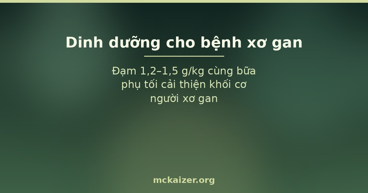 Đạm 1,2–1,5 g/kg cùng bữa phụ tối cải thiện khối cơ người xơ gan