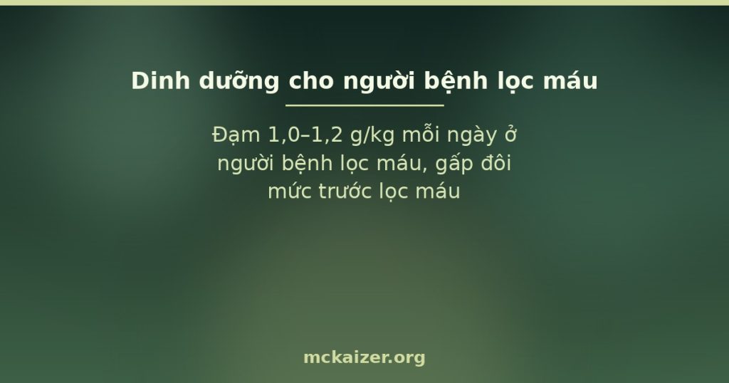 Đạm 1,0–1,2 g/kg mỗi ngày ở người bệnh lọc máu, gấp đôi mức trước lọc máu