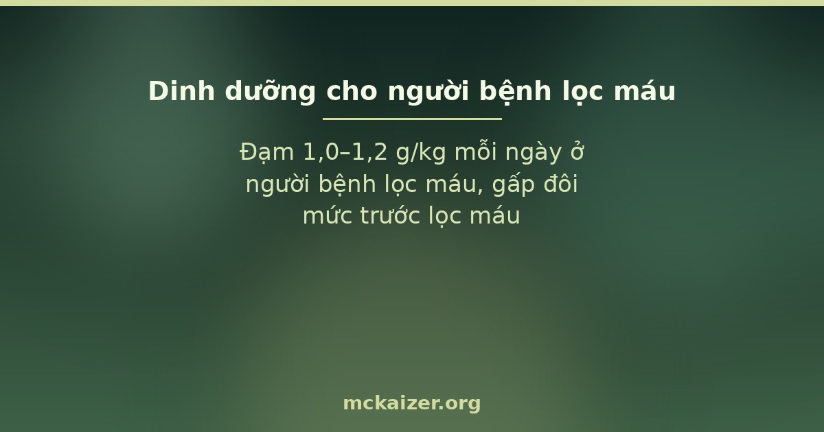 Đạm 1,0–1,2 g/kg mỗi ngày ở người bệnh lọc máu, gấp đôi mức trước lọc máu