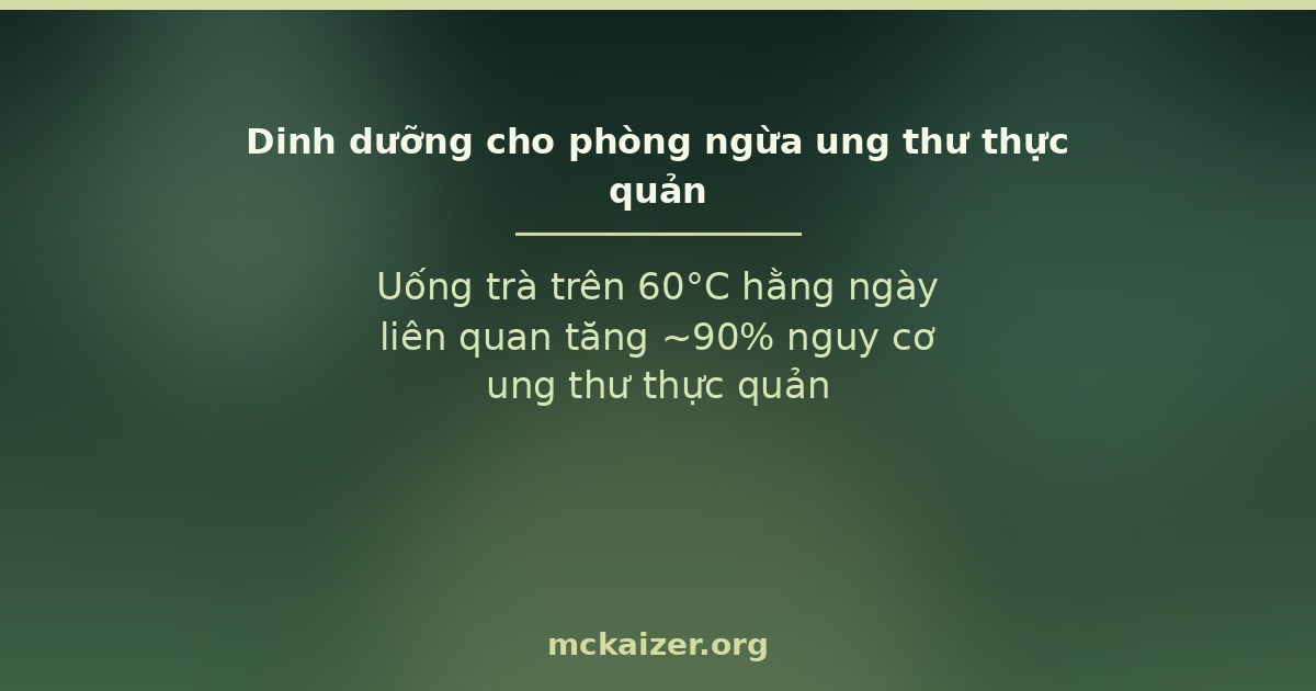 Uống trà trên 60°C hằng ngày liên quan tăng ~90% nguy cơ ung thư thực quản