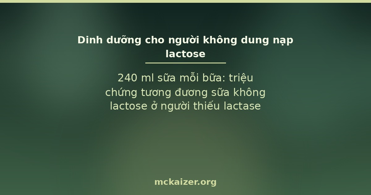 240 ml sữa mỗi bữa: triệu chứng tương đương sữa không lactose ở người thiếu lactase
