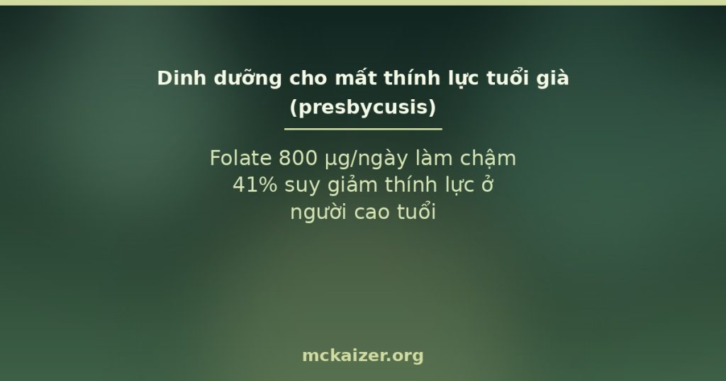 Folate 800 µg/ngày làm chậm 41% suy giảm thính lực ở người cao tuổi