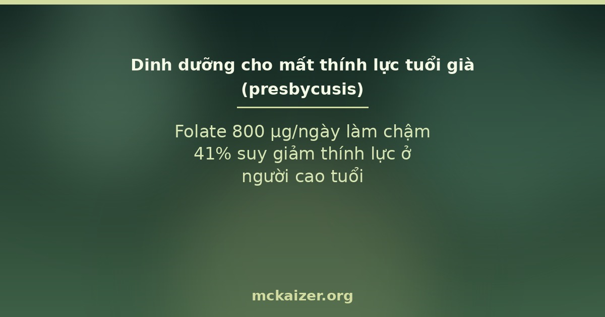 Folate 800 µg/ngày làm chậm 41% suy giảm thính lực ở người cao tuổi