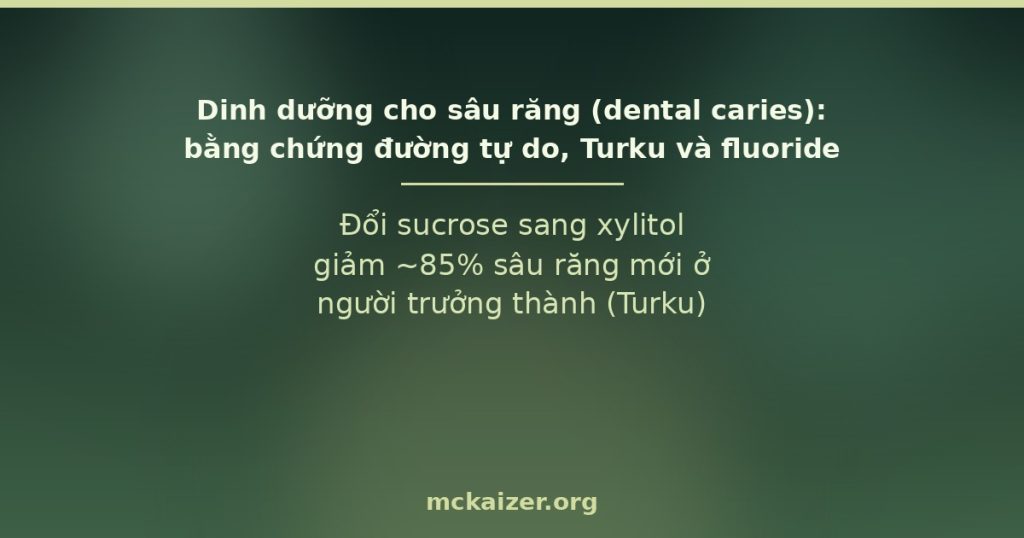 Đổi sucrose sang xylitol giảm ~85% sâu răng mới ở người trưởng thành (Turku)
