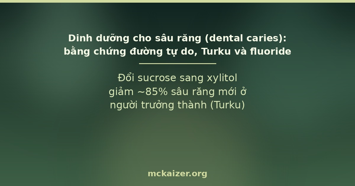 Đổi sucrose sang xylitol giảm ~85% sâu răng mới ở người trưởng thành (Turku)