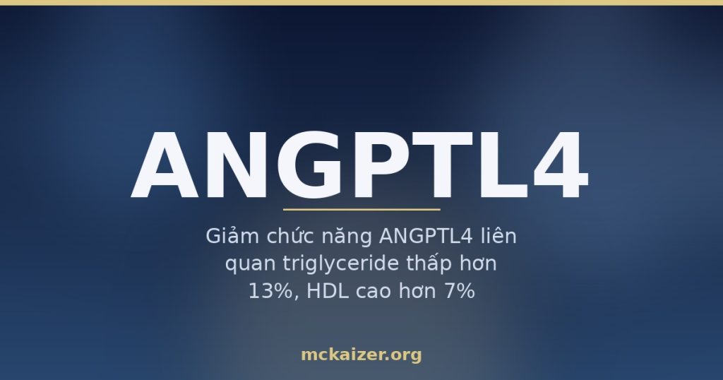 Ảnh minh hoạ gen ANGPTL4: giảm chức năng ANGPTL4 liên quan triglyceride thấp hơn 13% và HDL cao hơn 7%