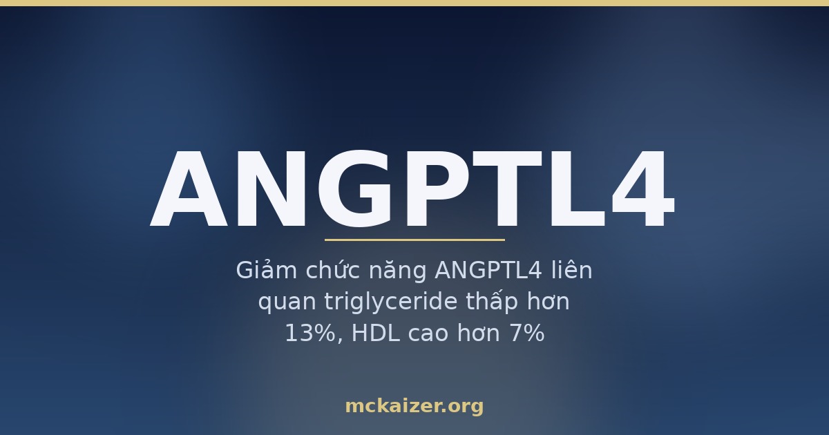 Ảnh minh hoạ gen ANGPTL4: giảm chức năng ANGPTL4 liên quan triglyceride thấp hơn 13% và HDL cao hơn 7%