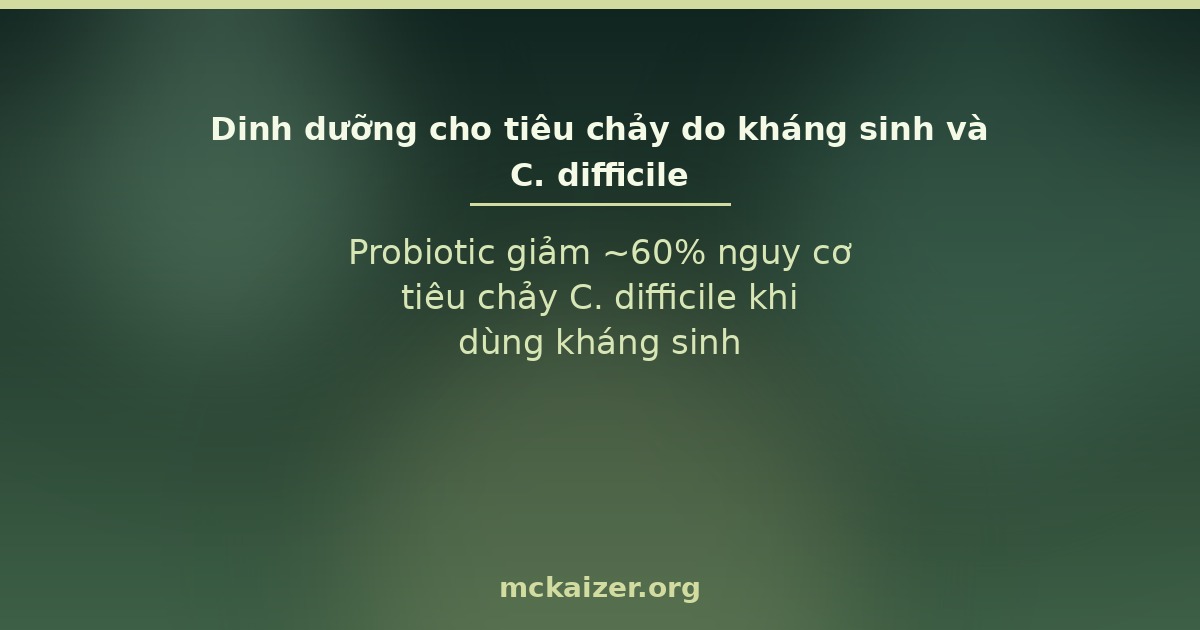 Probiotic giảm ~60% nguy cơ tiêu chảy C. difficile khi dùng kháng sinh