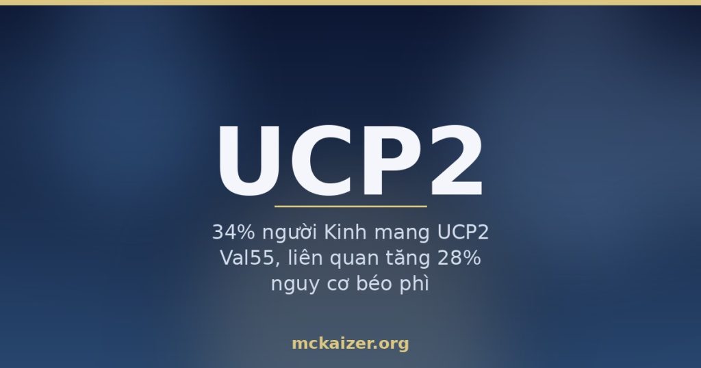 Ảnh minh hoạ bài viết về gen UCP2, biến thể Val55, cân nặng và tiết insulin ở người Việt