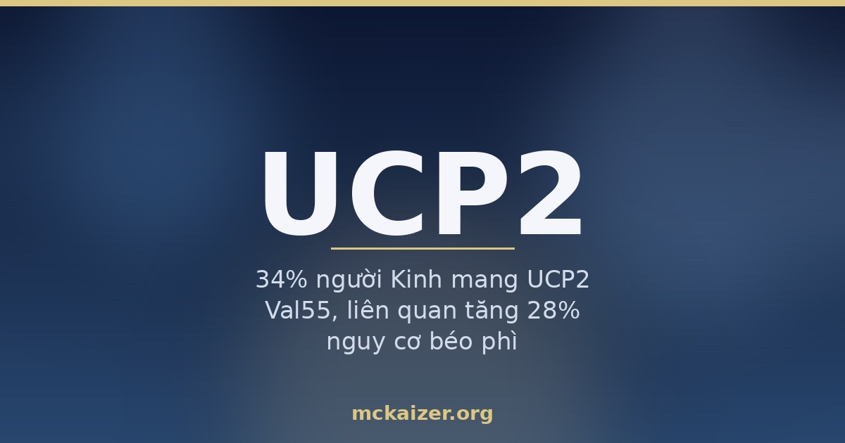 Ảnh minh hoạ bài viết về gen UCP2, biến thể Val55, cân nặng và tiết insulin ở người Việt