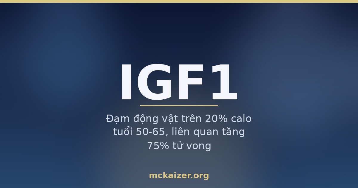 Ảnh bìa bài viết về gen IGF1, đạm động vật, sữa và tuổi thọ cho người Việt