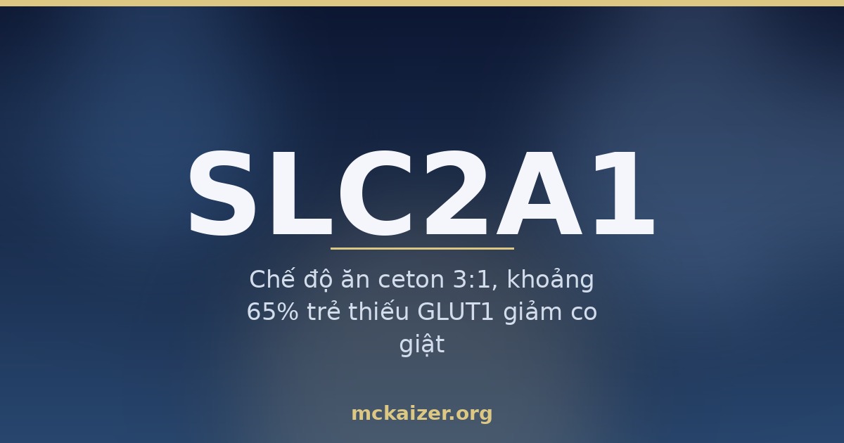 Ảnh bìa bài viết về gen SLC2A1 (GLUT1), chế độ ăn sinh ceton và co giật ở trẻ