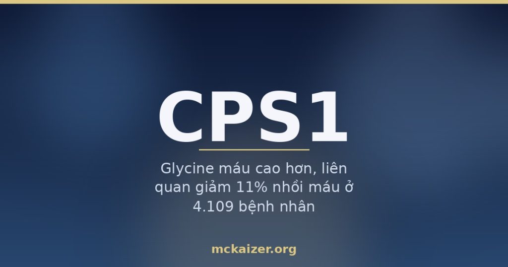 Gen CPS1 và glycine: chu trình urê, nước dùng xương và nguy cơ tim mạch ở người Việt