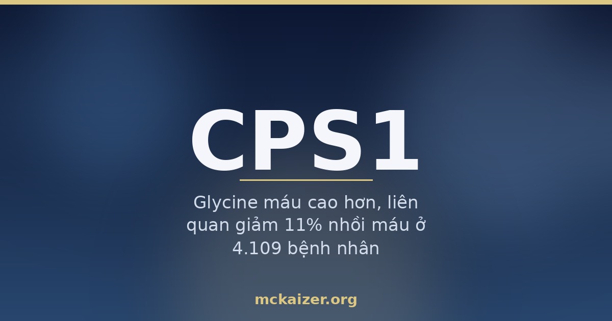 Gen CPS1 và glycine: chu trình urê, nước dùng xương và nguy cơ tim mạch ở người Việt