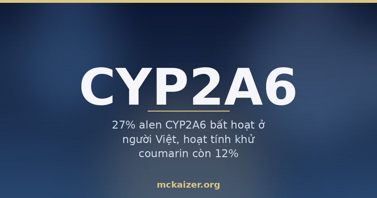 Ảnh bìa bài viết về gen CYP2A6: 27% alen bất hoạt ở người Việt, hoạt tính khử coumarin trong quế còn 12%