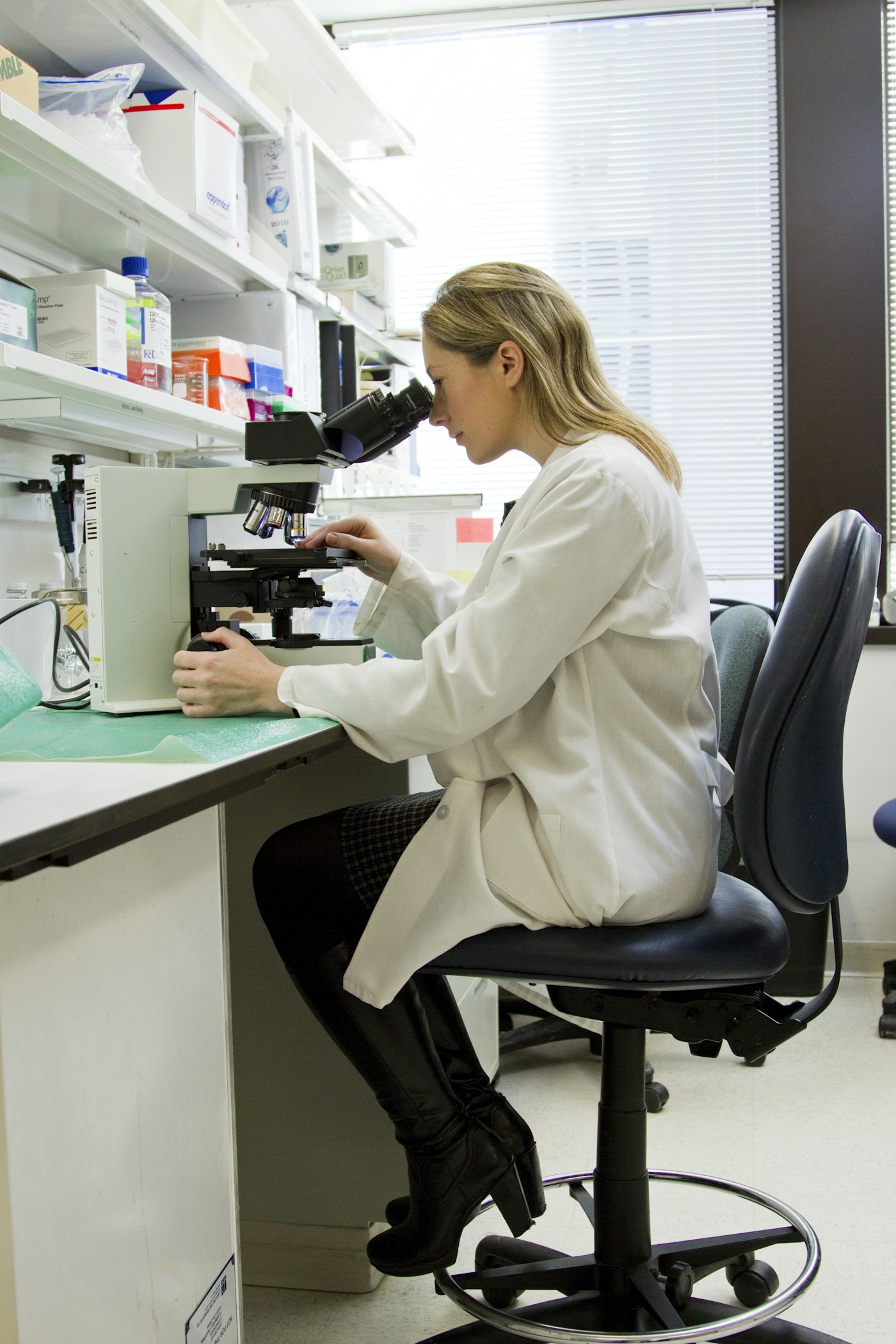 Epigenetic Reprogramming Trials — From Mice to Humans — McKaizer Institute