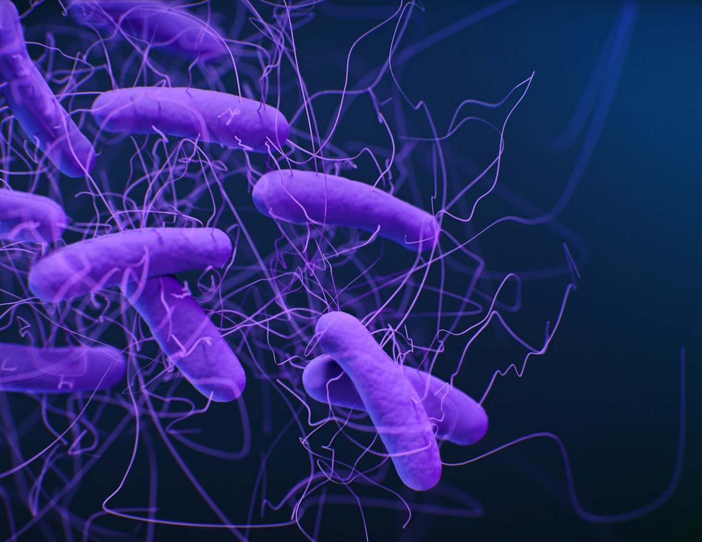 Your Gut — The Longevity Organ Hiding in Plain Sight — Viện McKaizer