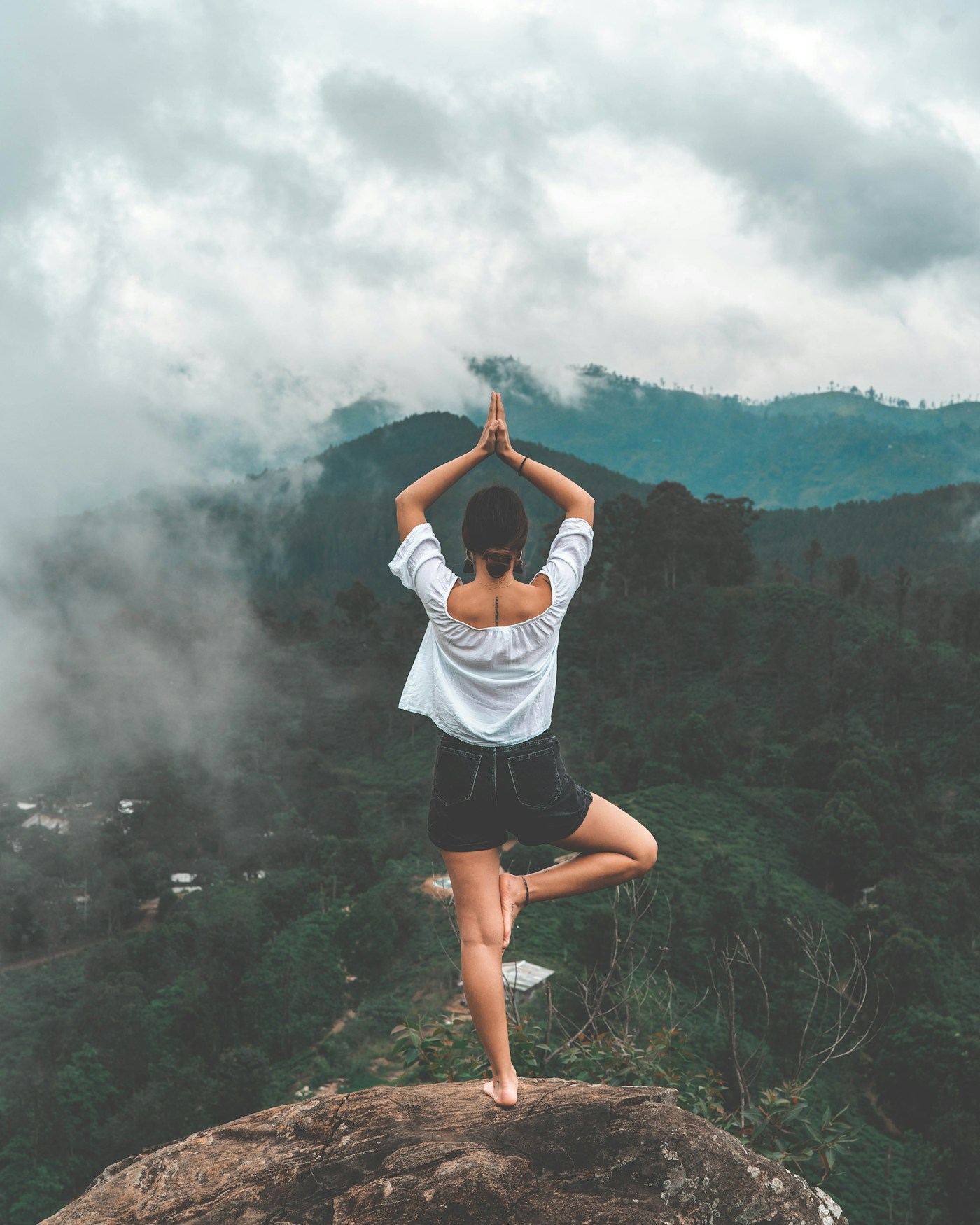 Thyroid, DHEA, Cortisol and the Secondary Hormonal Drivers — McKaizer Institute