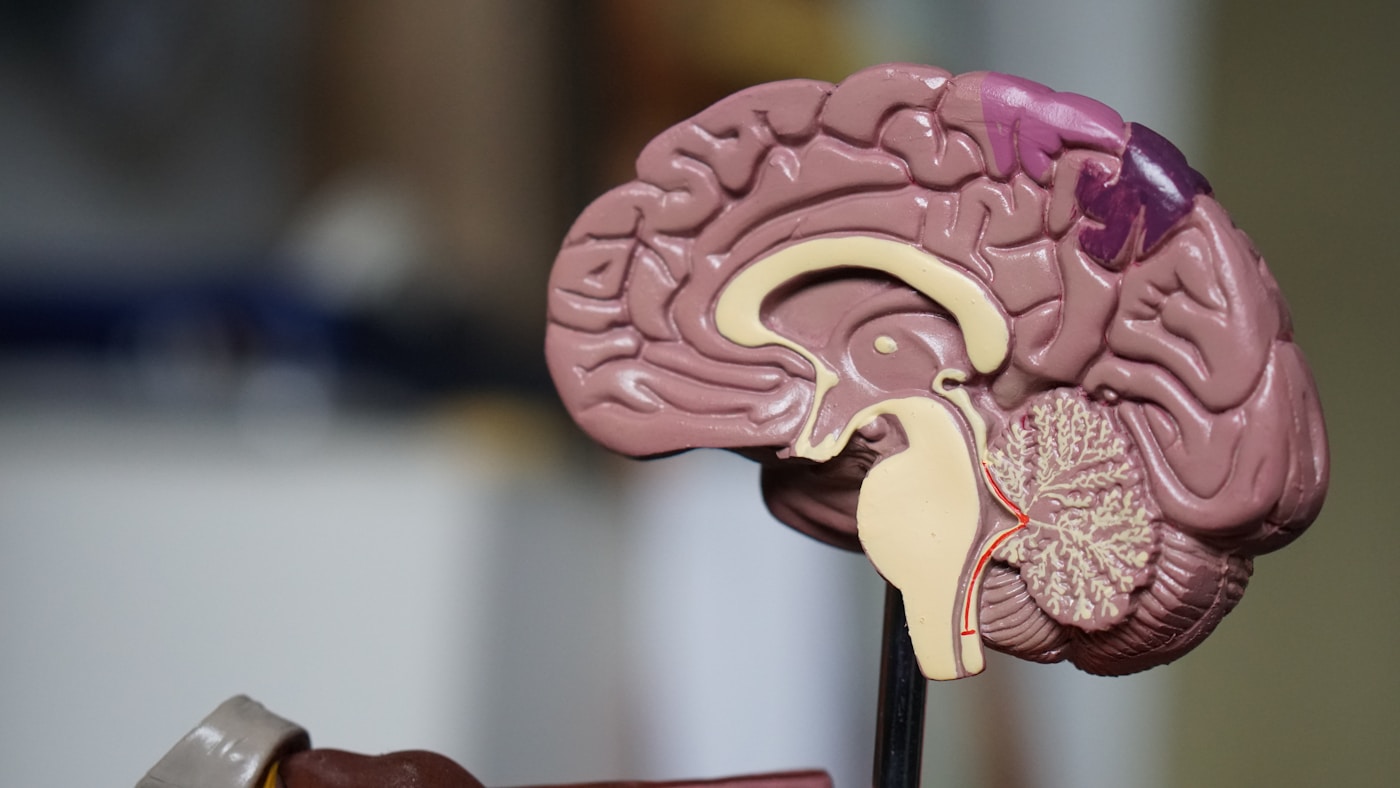 Biomarkers Validating Measurable Healthspan Improvements — Viện McKaizer