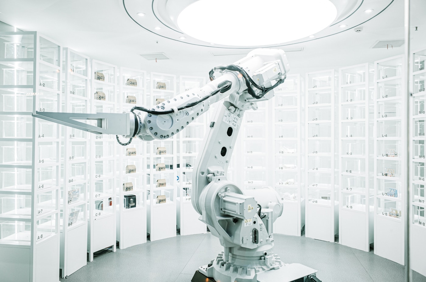 The McKaizer Evidence-Ranked Supplement Stack — McKaizer Institute