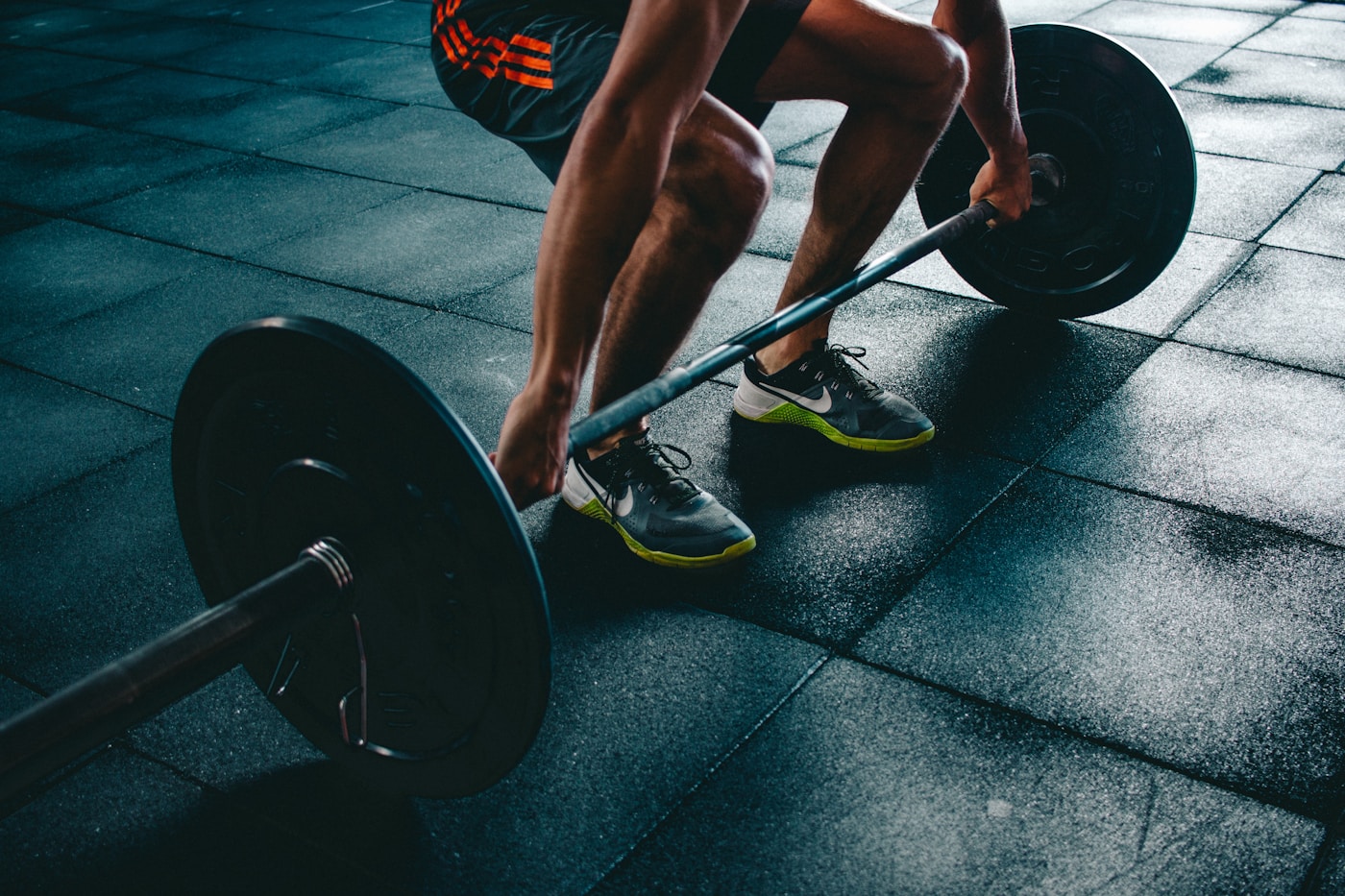 Strength Training for Longevity — Muscle Is the Organ of Long Life — Viện McKaizer