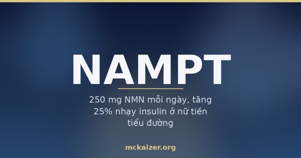 Ảnh bìa bài viết về gen NAMPT, enzyme tái chế NAD+, vitamin B3 và NMN trong dinh dưỡng người Việt