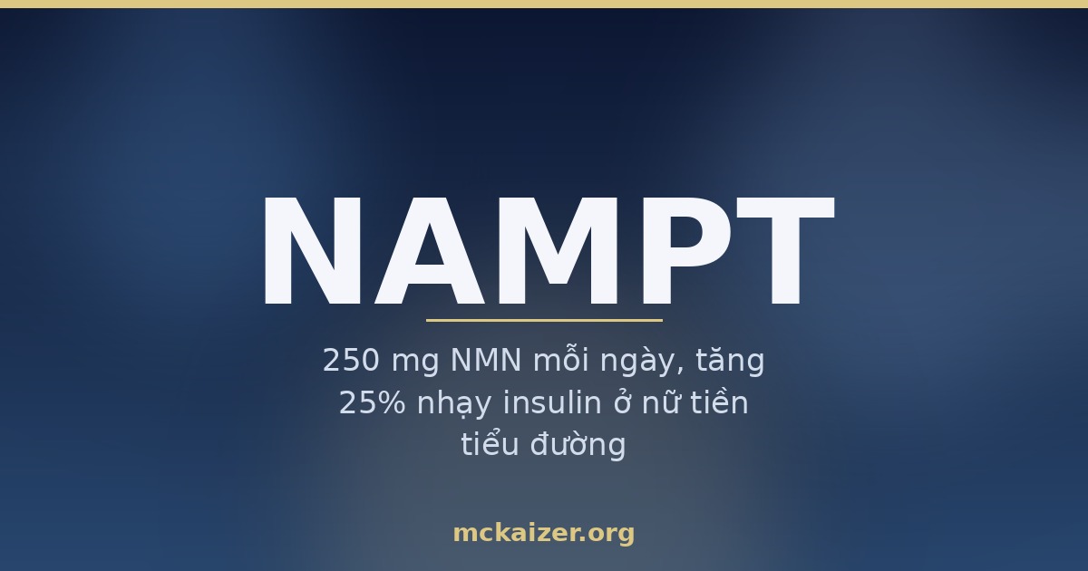 Ảnh bìa bài viết về gen NAMPT, enzyme tái chế NAD+, vitamin B3 và NMN trong dinh dưỡng người Việt