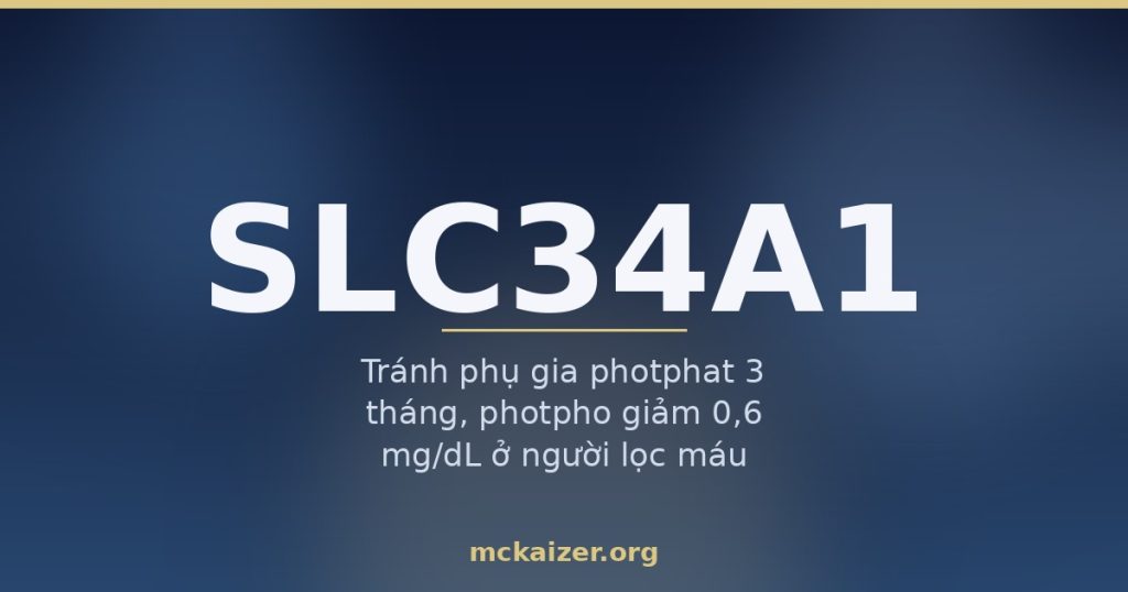 Gen SLC34A1 (NaPi-IIa) — photphat, phụ gia thực phẩm và sỏi thận ở người Việt