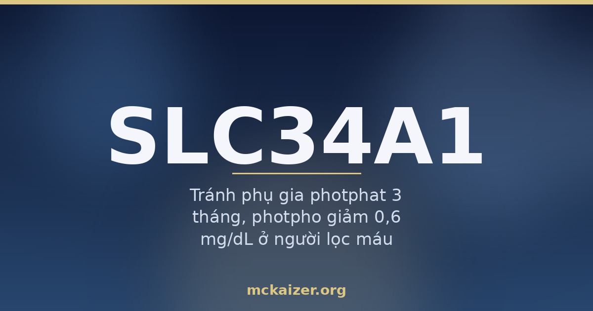 Gen SLC34A1 (NaPi-IIa) — photphat, phụ gia thực phẩm và sỏi thận ở người Việt
