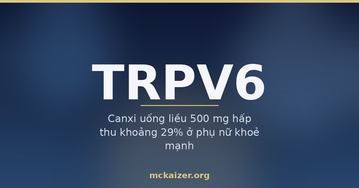 Ảnh bìa bài viết về gen TRPV6, kênh hấp thu canxi ở ruột non và vitamin D