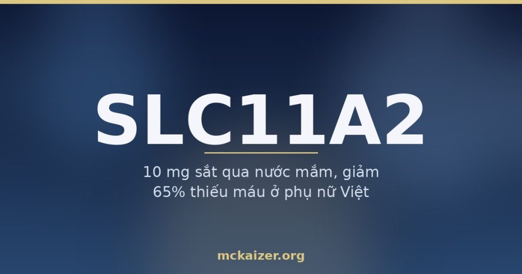 Ảnh bìa bài viết về gen SLC11A2 (DMT1): 10 mg sắt qua nước mắm, giảm 65% thiếu máu ở phụ nữ Việt