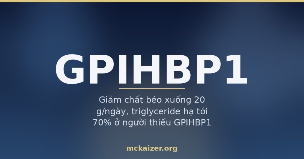 Ảnh bìa bài viết về gen GPIHBP1, triglyceride cao và nguy cơ viêm tụy cấp ở người Việt