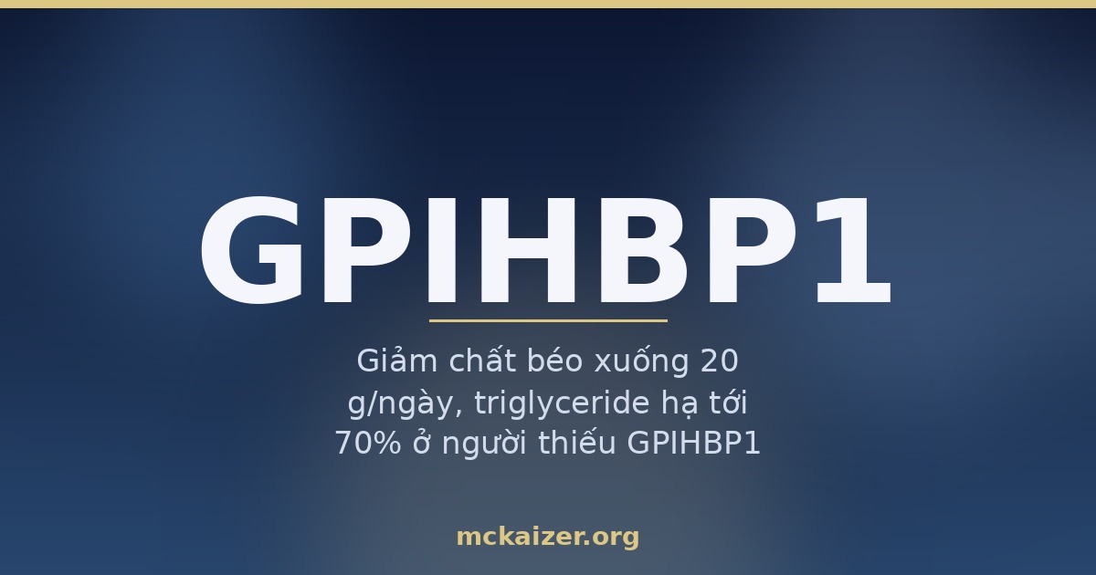 Ảnh bìa bài viết về gen GPIHBP1, triglyceride cao và nguy cơ viêm tụy cấp ở người Việt