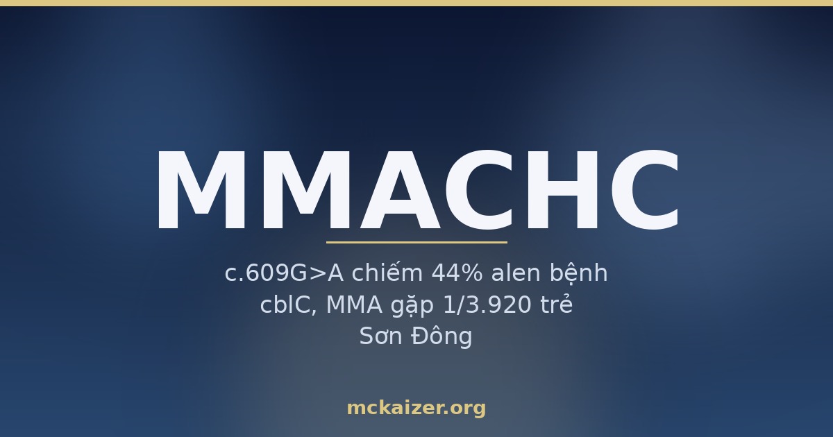 Gen MMACHC, vitamin B12, homocysteine và sàng lọc sơ sinh ở người Việt