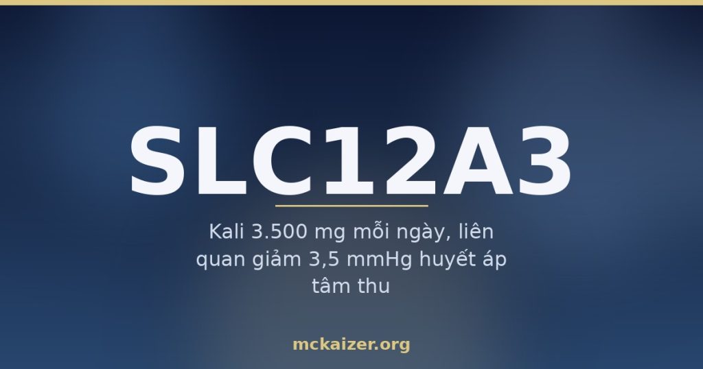 Ảnh bìa bài viết về gen SLC12A3 (NCC), kali, magiê và muối trong chế độ ăn của người Việt