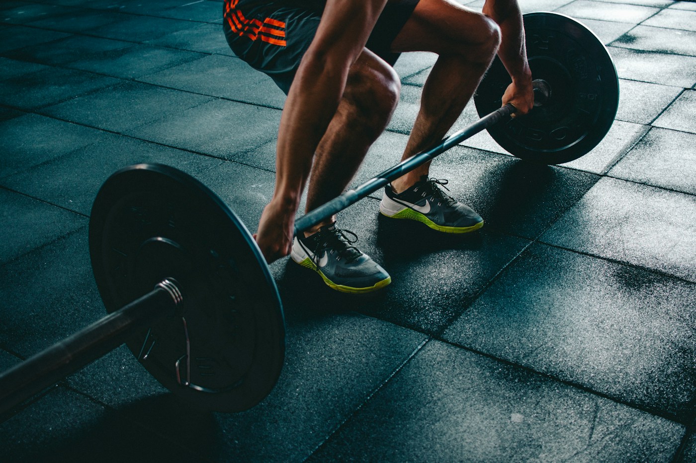 Muscle Is a Longevity Organ — The Science That Changed Exercise Medicine — McKaizer Institute